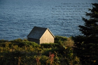 photopoeme Le royaume des poètes