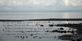 photopoeme Un éclat de corail