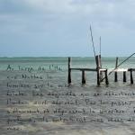 photopoeme Rêves de corail