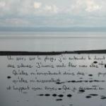 photopoeme Un éclat de corail