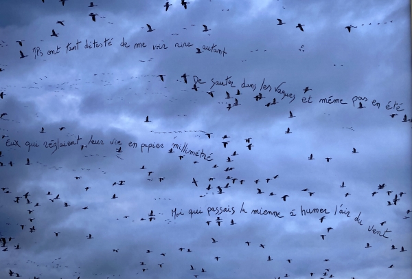 photopoeme L'ai du vent