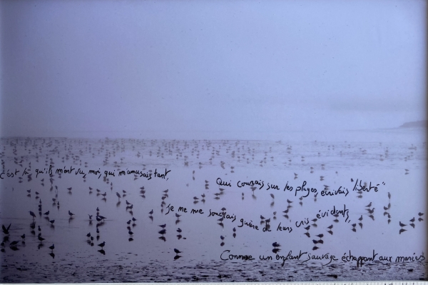 photopoeme Un enfant sauvage