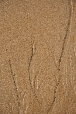 photopoeme En attendant la mer