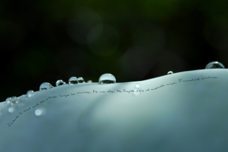 photopoeme Immortalité chimérique
