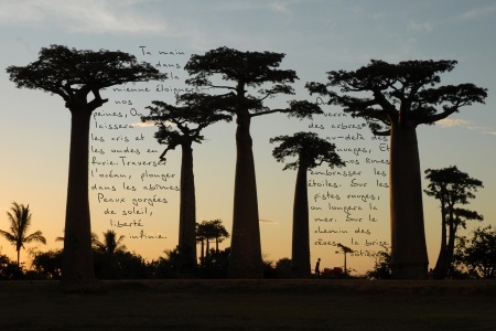 photopoeme Le chemin des rêves