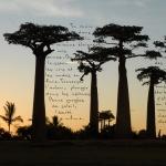photopoeme Le chemin des rêves