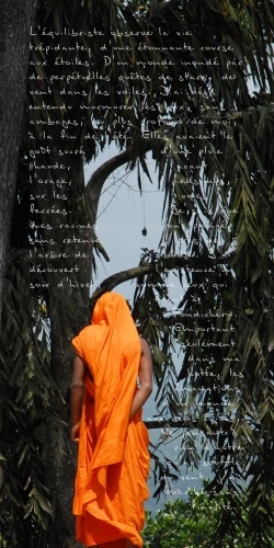 photopoeme Les sens épicés