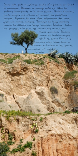 photopoeme Rêves polychromes