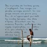 photopoeme Délicieux lys