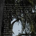 photopoeme Les sens épicés