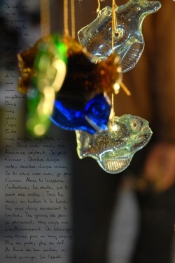 photopoeme Un chant sauvage