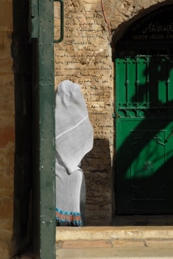 photopoeme Une fleur sauvage